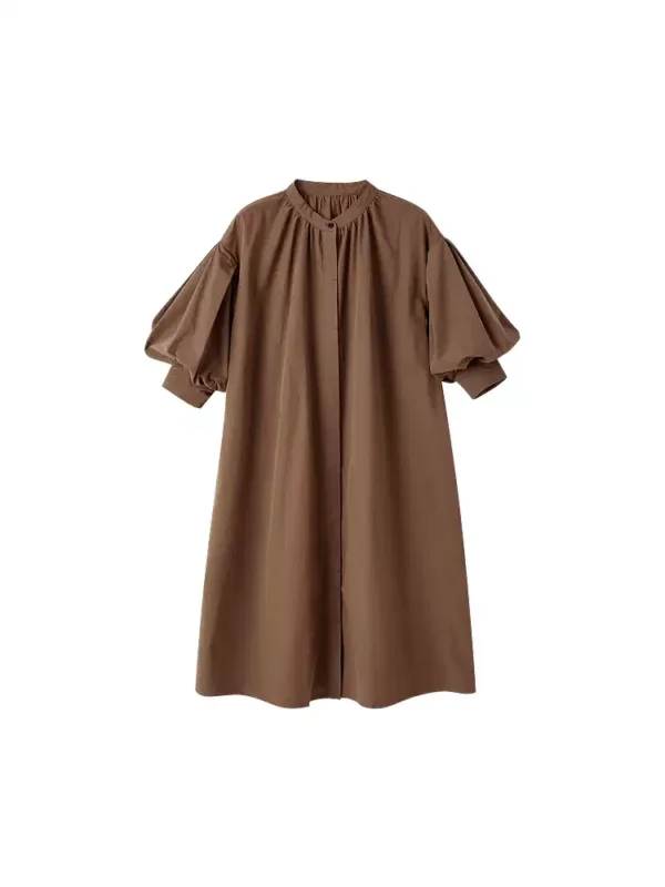 Puffed sleeve, hidden front opening and button-down dress